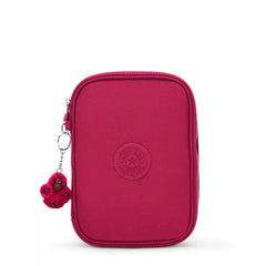 100 Pens Case