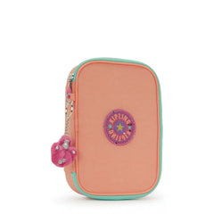 100 Pens Case